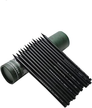 LI-GELISI Artist Woodless Graphite Charcoal Sticks Charcoal Sketching Pencil 24 Piece Soft Whole Carbon core
