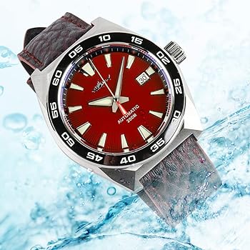 Buy Heimdallr Diver Watch for Men Stainless Steel Japan NH35A