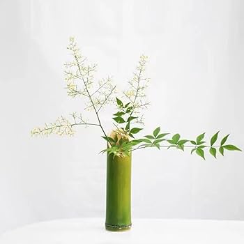 61C9YbNET3L._AC_UF350,