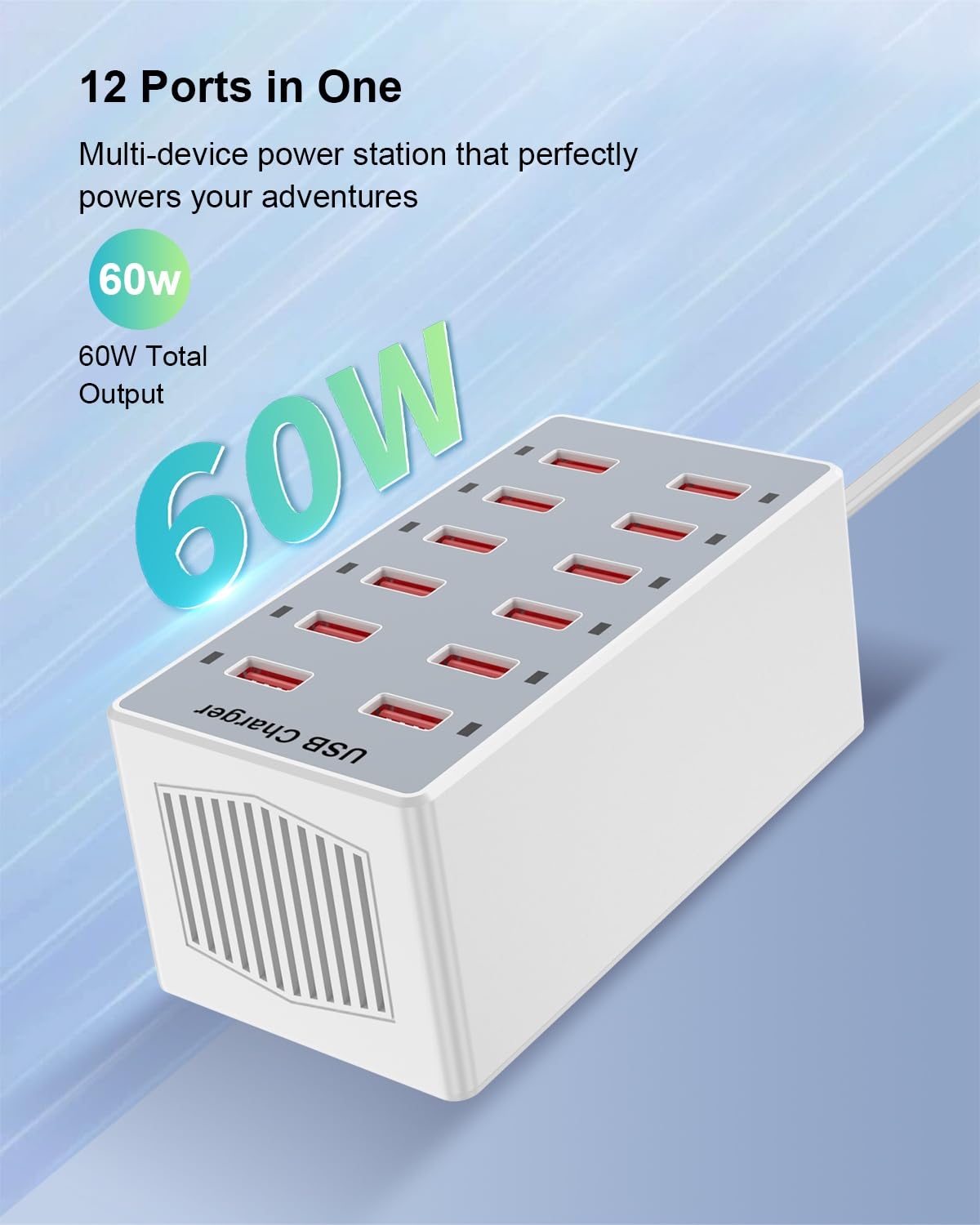 USB Charging Station - 12-Port Power Hub for Multiple Devices - Smart Plug Charging Dock for iPhone Xs/XR, iPad, Galaxy S9/S8, Laptops and Smart Phones - 60W