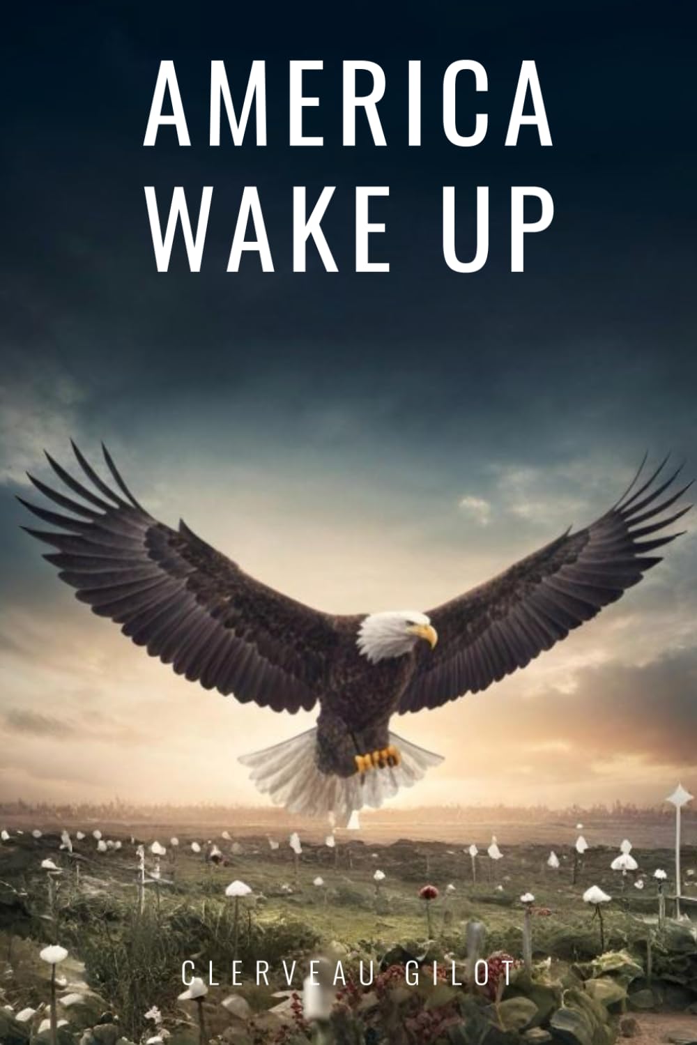 AMERICA WAKE UP