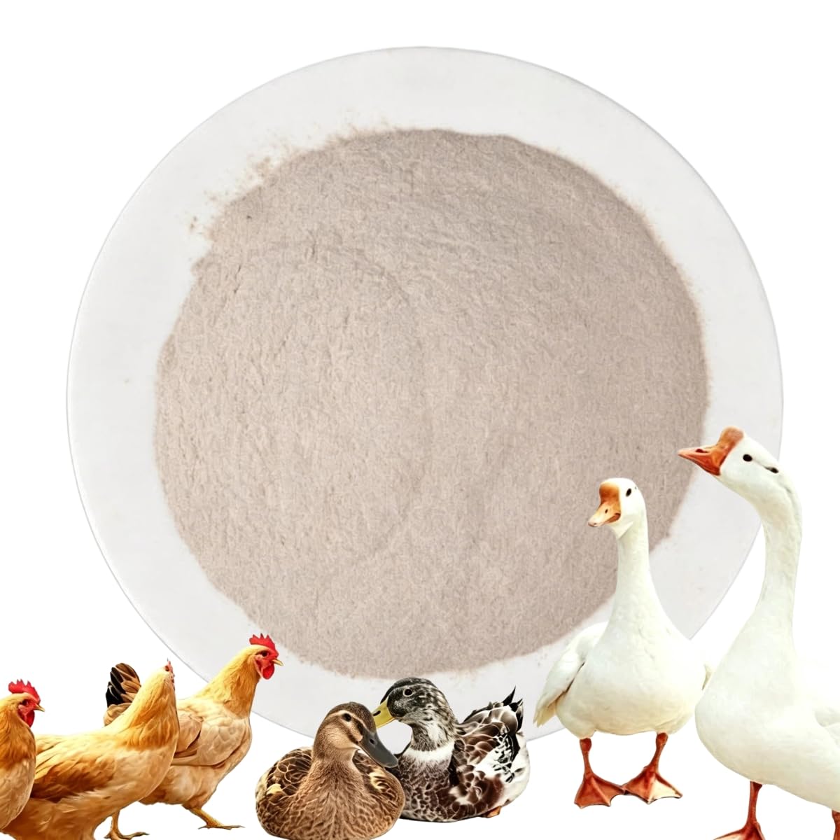 Yuziwi Natural Shell Lime - For Poultry, Chickens, Pigeons, Quails & Large Animals - 1kg/2.5kg/5kg (Powder, 1kg)