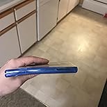 Mushuk panties orqali korinadi