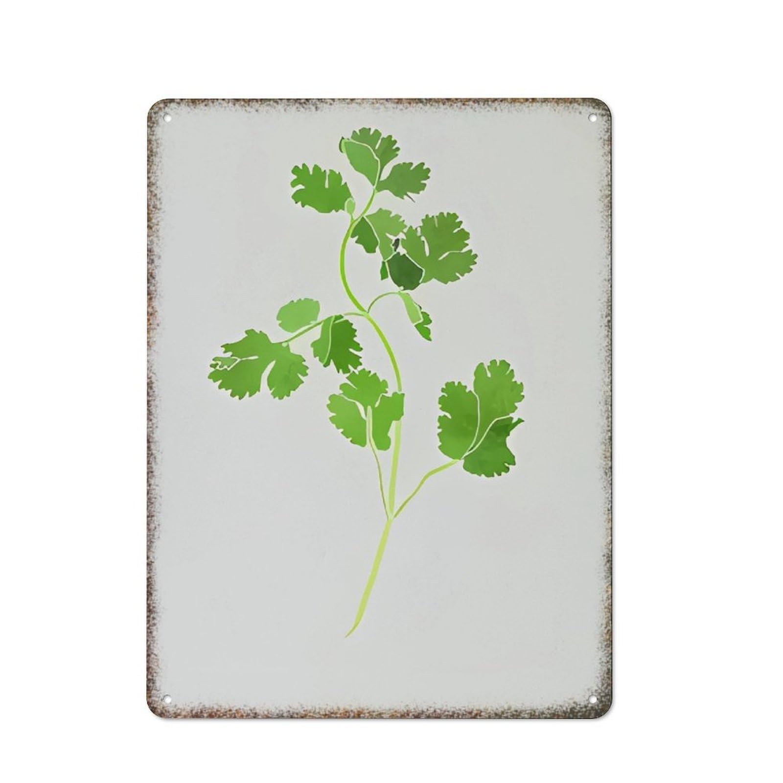 Watercolor Cilantro Kitchen Gift Vintage High Gloss Metal Home Wall Art 8x12 inch