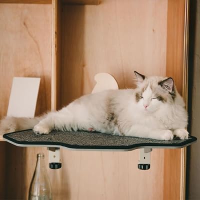 Cat-Kick 大型ステップ