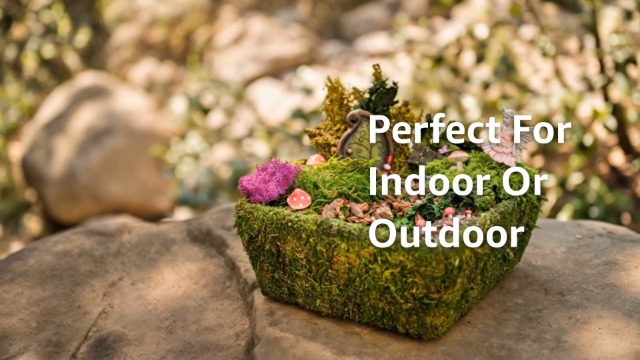 Amazon.com : SuperMoss (50362) Fairy Garden Kit | Miniature Moss