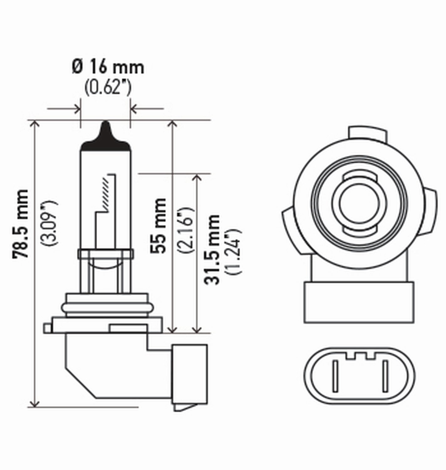 HELLA H10TB Standard Halogen Bulbs, 12 V, 45W