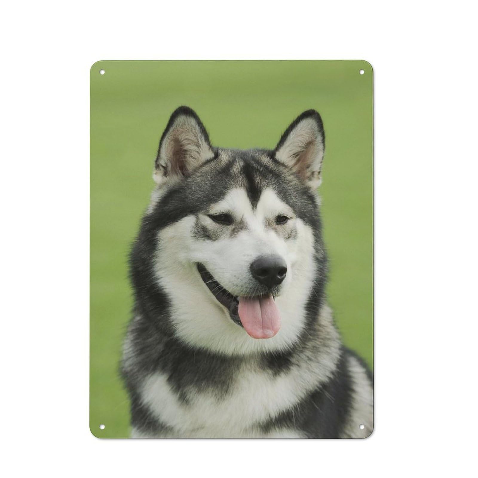 Junmoney Style-8 Warehouse Style Tin Wall Sign 40X30cm Featuring Alaskan Malamute, Loft Wall Plaque For Loft, Studio, Office Or Creative Room