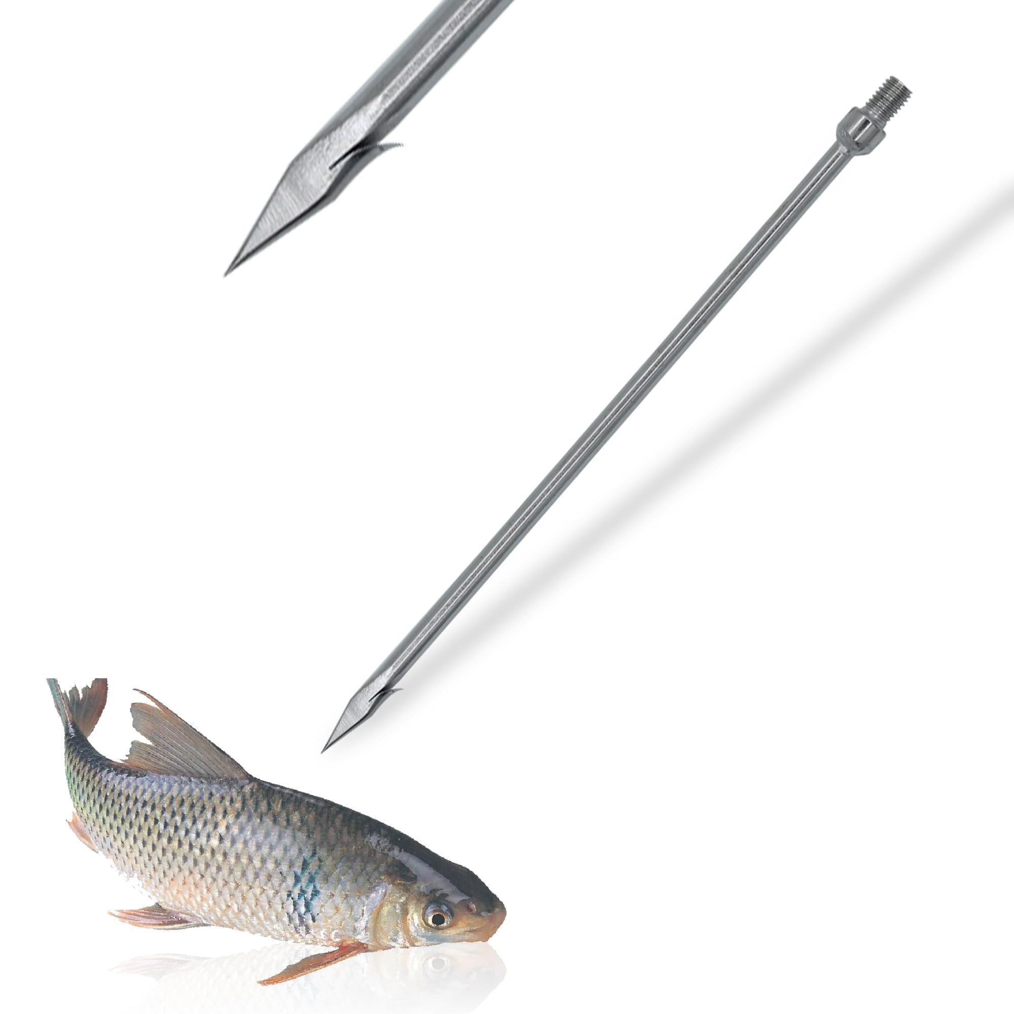 Dutiplus Large Fishing Harpoon 1 Prong Barbed Stainless Steel Hunting Fish Gig Gaff Fork Hook with 8mm Screw for Catching Big Fish Mole Big Bullfrog (Silver 1 Fork) : Sports & Outdoors