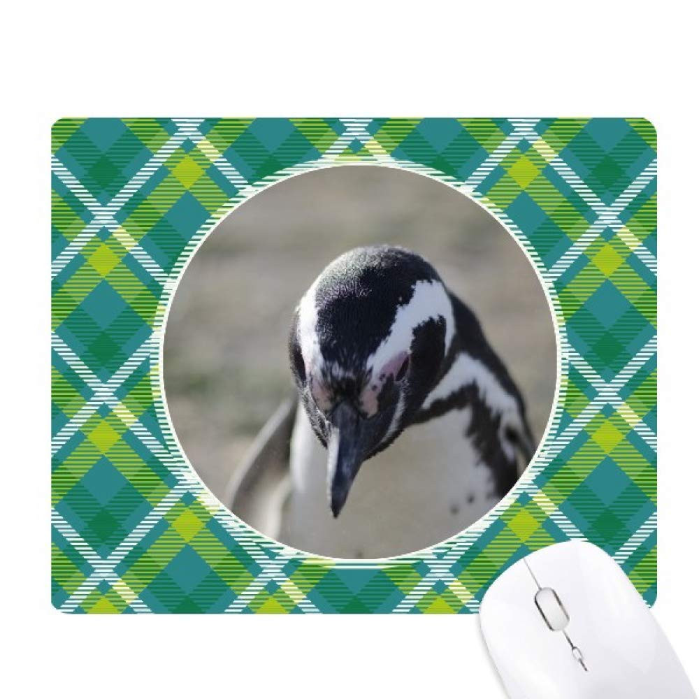 Tapis de souris pingouins finition premium grille verte - 6