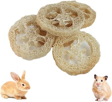 15 Pack Bunny Chew Toys Non-Additives Teeth Grinding Treats Natural Loofah Rabbit Chew Toys for Teeth Chewing Rabbit Hamster Guinea Pig Chinchilla Gerbil Stress Relief Improve Rodent Health