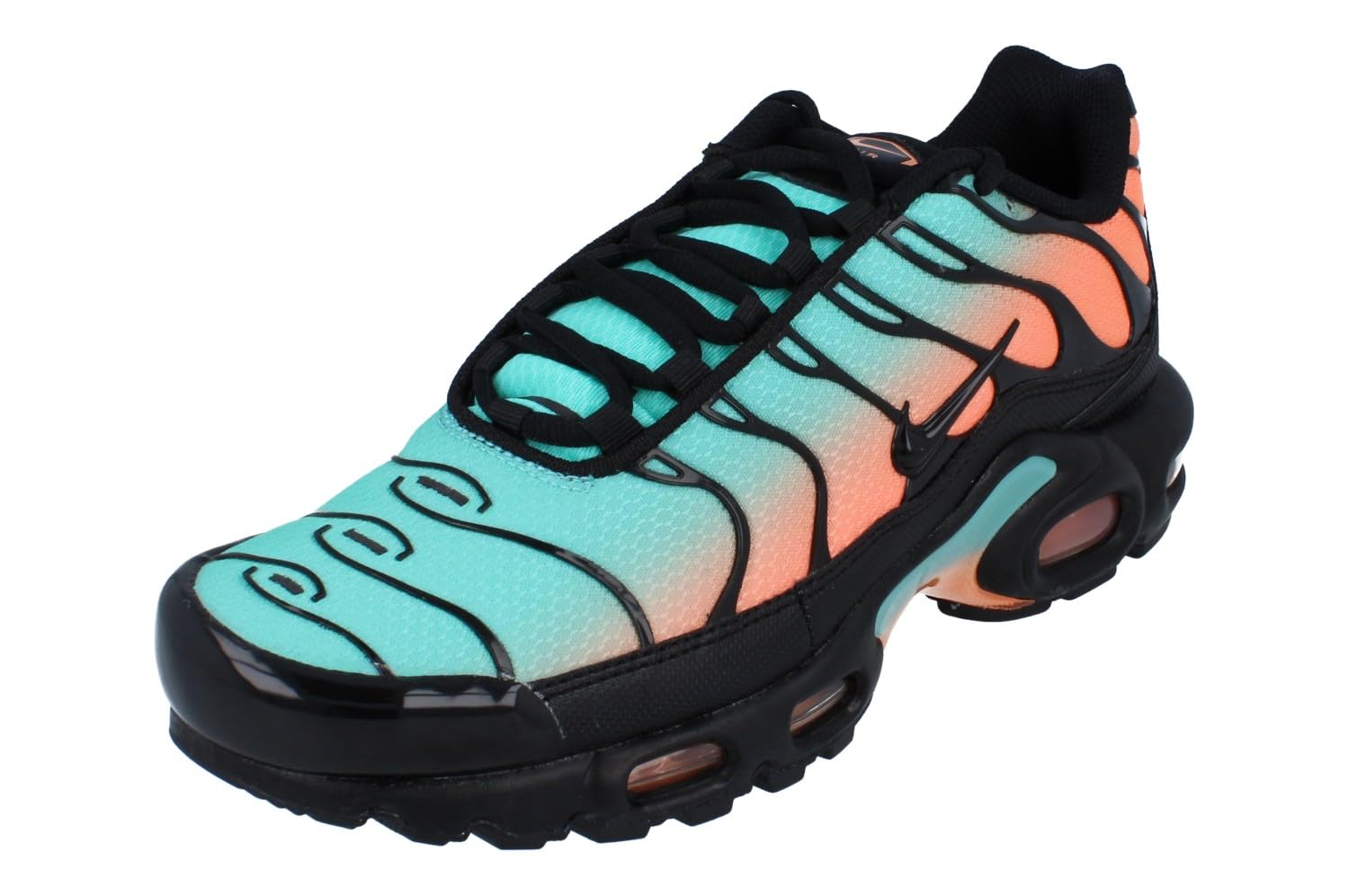 Nike Air Max Plus, Men's Sports Shoes