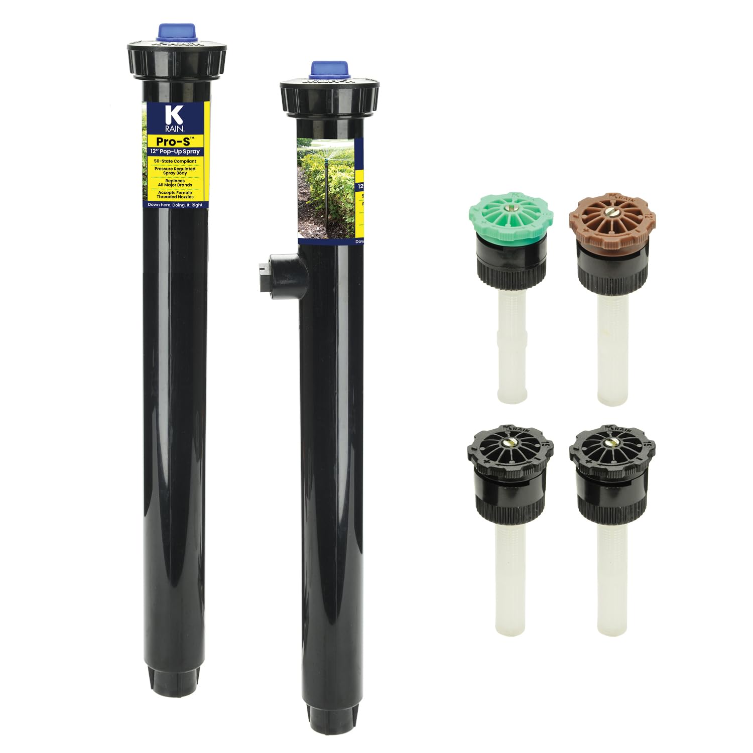 Vaporisateur pop-up K Rain Pro-S 30,5 cm avec régulateur 30 PSI et buses