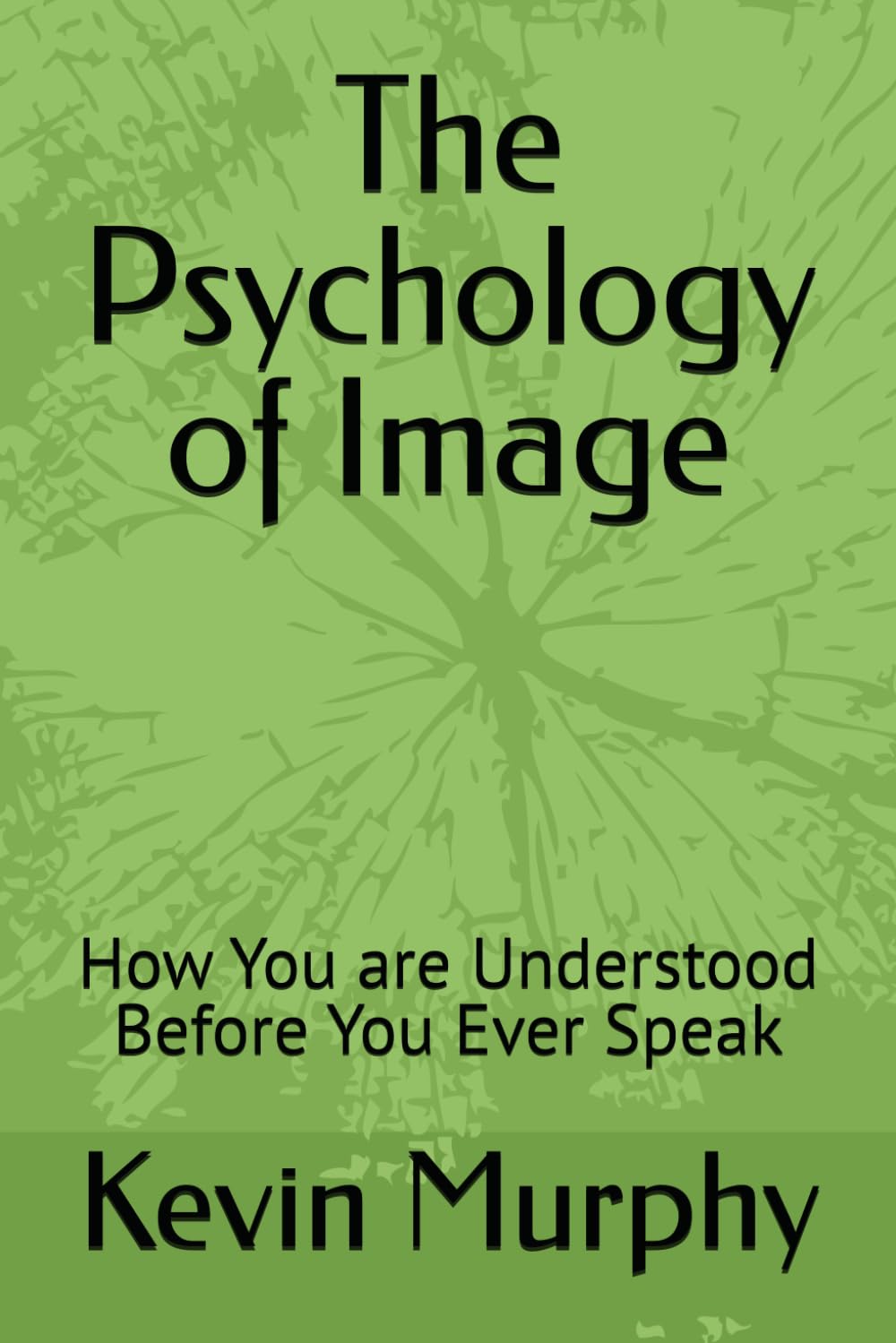 The Psychology of Image: How You are Understood Before You Ever Speak