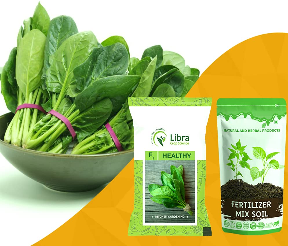 Green Spinach Seeds for Planting | Palak | Farming | Home | Garden | Kitchen | Vegetable | Hybrid | Terrace | Balcony | Eating | Sorrel Leaves | Palakura | Spinach Bunch | Palki - 40 Gram : 5789 Seed (B0B2WCYR69) Amazon Price History, Amazon Price Tracker