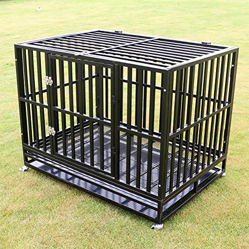 10 Best Dog Cages For Pitbulls in 2024 PetStruggles