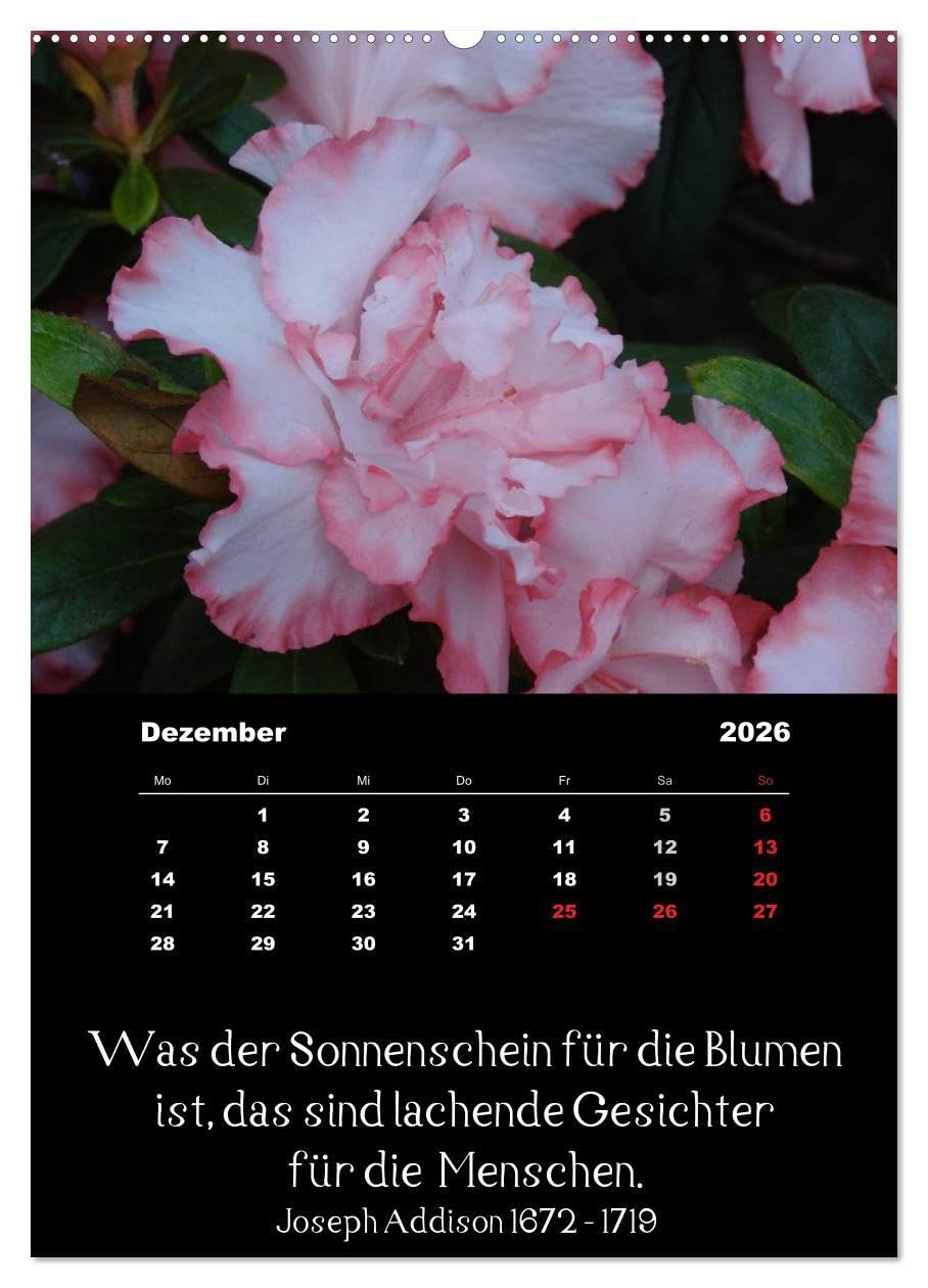 Sprüche und Zitate berühmter Personen über Blumen und Natur (hochwertiger Premium Wandkalender 2026 DIN A2 hoch), Kunstdruck in Hochglanz: ... Spruch unter jedem Bild (CALVENDO Natur)