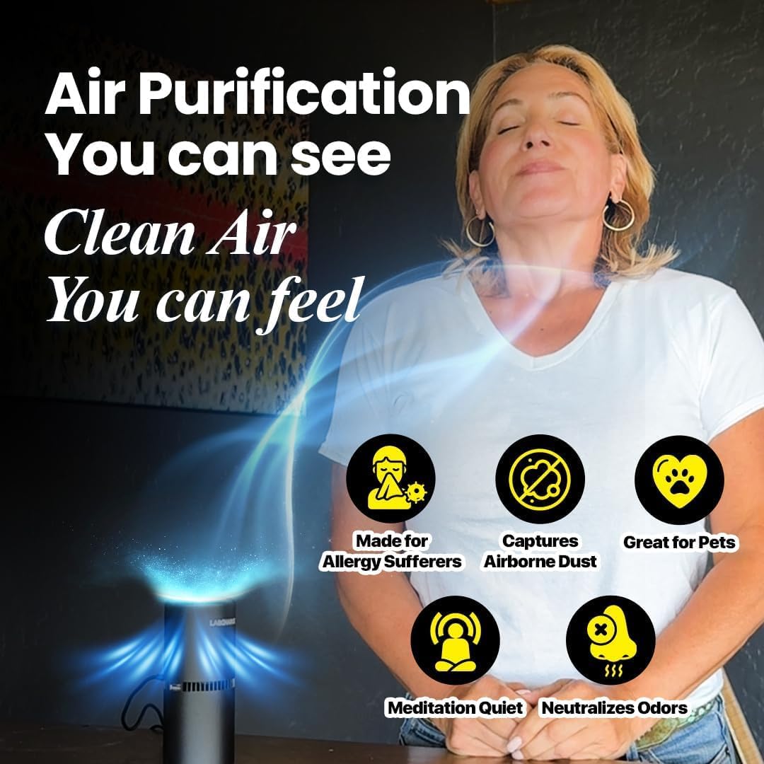 LabCharge Small Ionic Air Purifier for Home & Bedroom – Silent HEPA Filter – Covers 250 Sq Ft – For Pet Hair, Smoke, Dust, Odors & Dander – Compact Black Design – Pack of 6