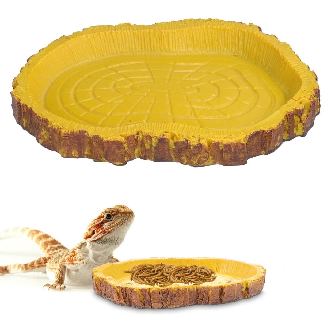 Toy Truffle Reptile, Turtle Gastronomy Dish: Elevate Your Pet's Dining Rituals with a Strong and Adaptable Feeding Tray, Perfect for Showcasing Healthy Fare with Elegance, Opulent Dining Experience-image-8