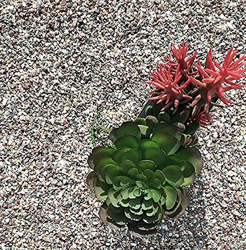 Image of Decorative Stones Marble Chips Pebble Stones for Aquarium Home Garden Indoor & Outdoor Decoration (Multicolor, 4900gm)