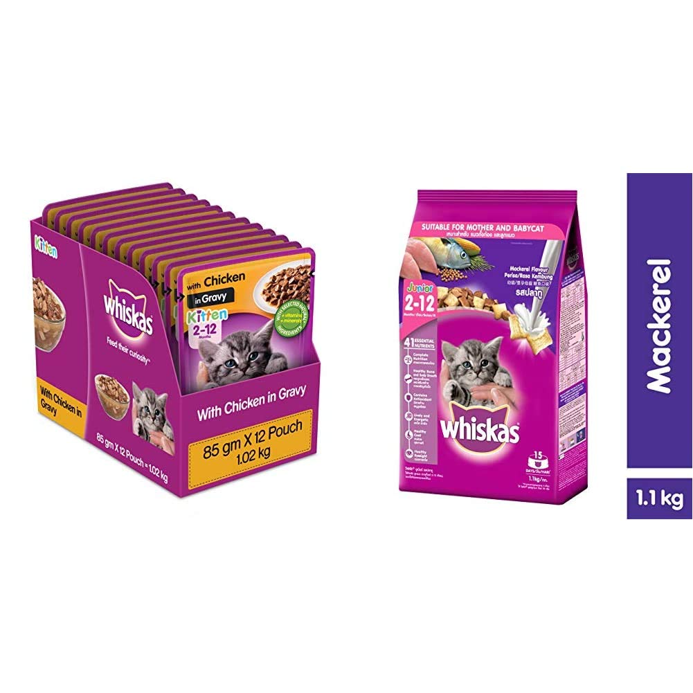 Whiskas Kitten (2-12 Months) Wet Cat Food, Chicken in Gravy, 12 Pouches (12 X 85G) & Kitten (2-12 Months) Dry Cat Food, Mackerel Flavour, 1.1Kg Pack