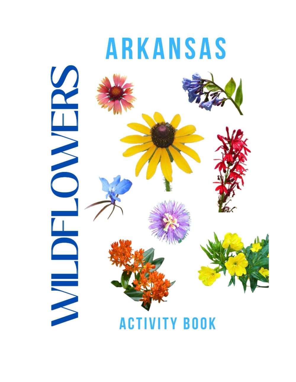 Wildflowers of Arkansas Activity Book: A Young Explorer's Field Guide to the Native Blooms of Arkansas (Arkansas Nature Explorer Series)