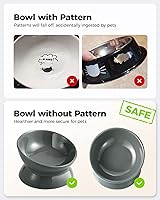 Vista 3 de LoeJan Elevated Cat Food Bowl, 5 Oz Ceramic Raised and Tilted Water Bowl, Anti Vomiting and Protect Pets' Spines Dishes for Small Dog, Fat Faced