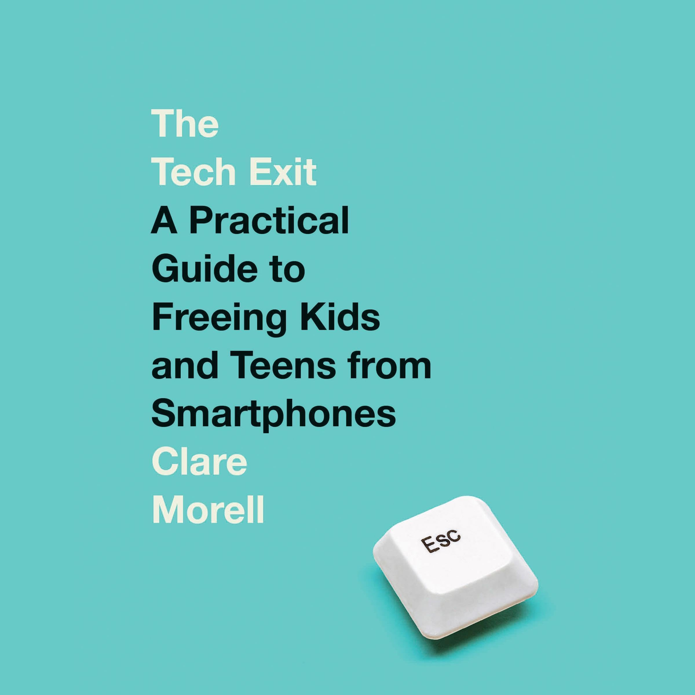 Cover art for The Tech Exit