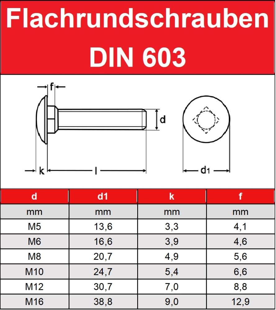 Schlossschrauben M8x45 Edelstahl 100 Stück Torbandschrauben Flachrundschrauben mit Vierkantansatz DIN 603 Flachrundkopf Schrauben Schloßschrauben VA V2A Vollgewinde | norm-genau®