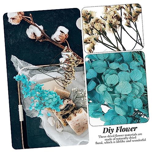 1 set flores secas para manualidades y decoración miniatura 5