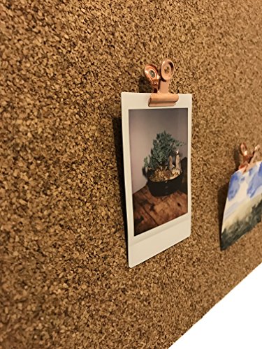 Metal Push Pin With Clip - Stick Polaroid Photos, Papers & More On Bulletin Boards Without Leaving A Hole. Ideal For Offices And Home (Rose Gold) - Pack Of 12 #TOP2