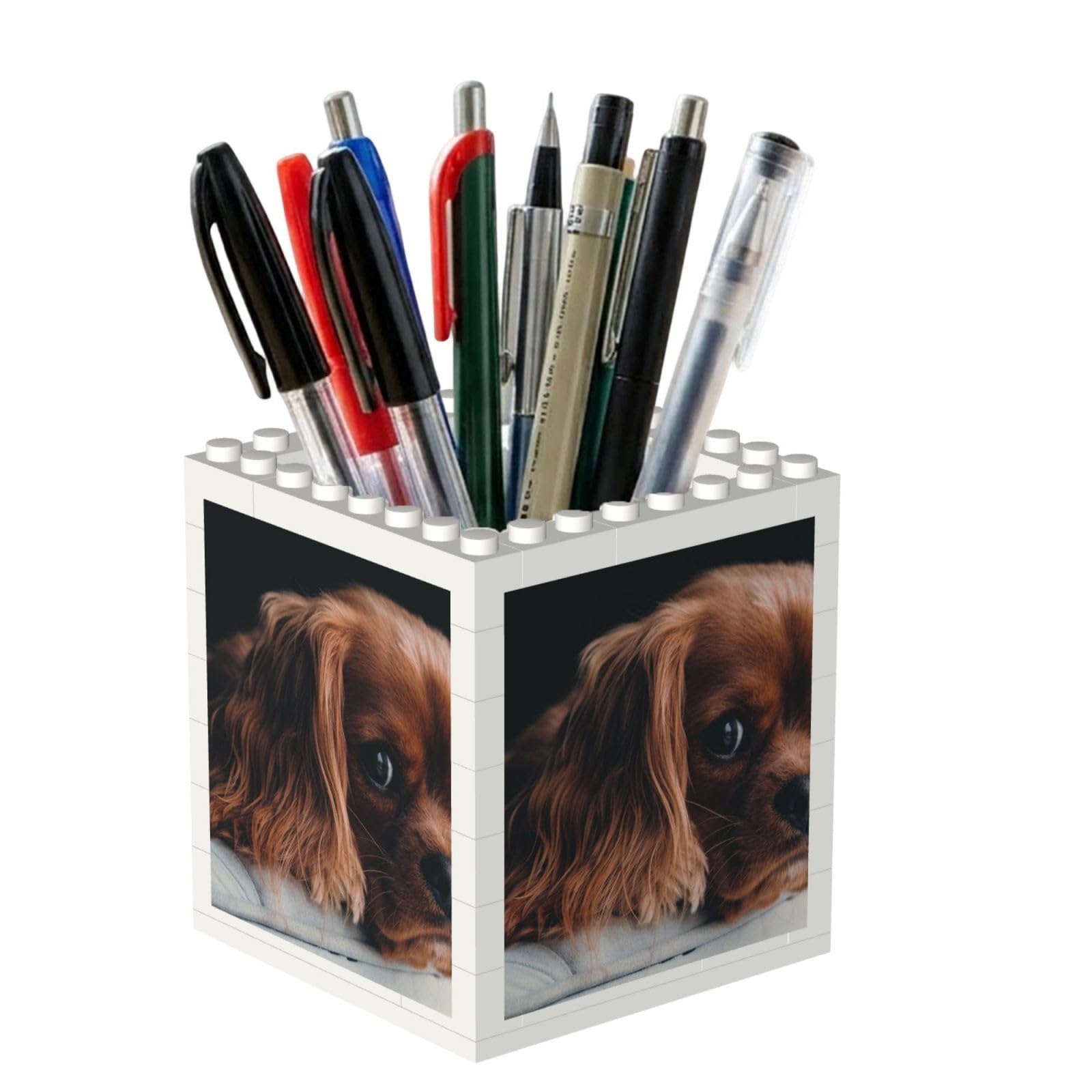 Poadnly Ruby Cavalier King Charles Spaniel Puppy Dog, Pen Pot Pencil Holder for Office Home School, Compact Desk Organiser for Office Stationery