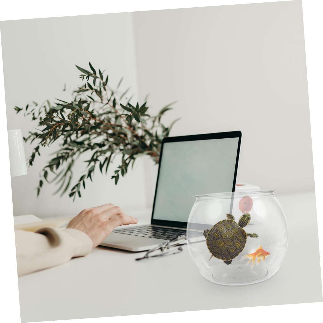 Artibetter Small Plastic Fish Bowl Desktop Aquarium Tank for Goldfish and Turtles Office Decorative Fish Tank Holder