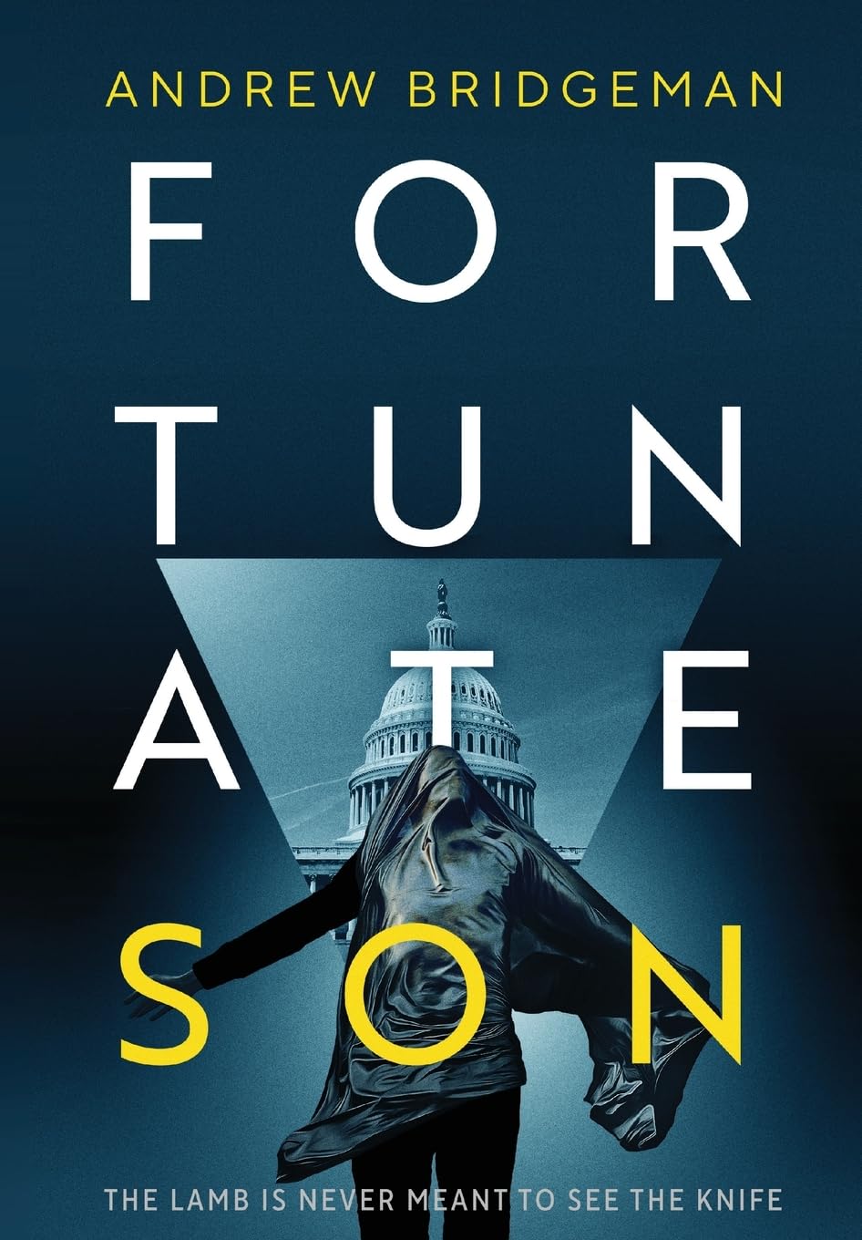 Fortunate Son: A Suspenseful Psychological Thriller (Emma Noble Series)