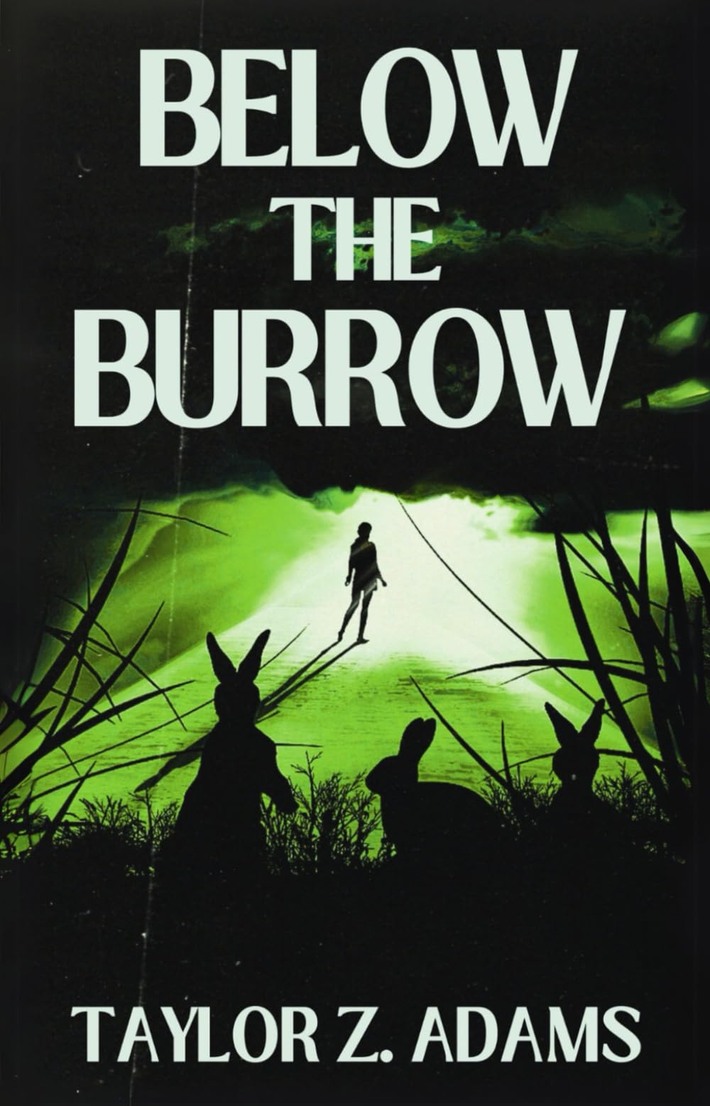 Below the Burrow: A Cosmic Horror Novella