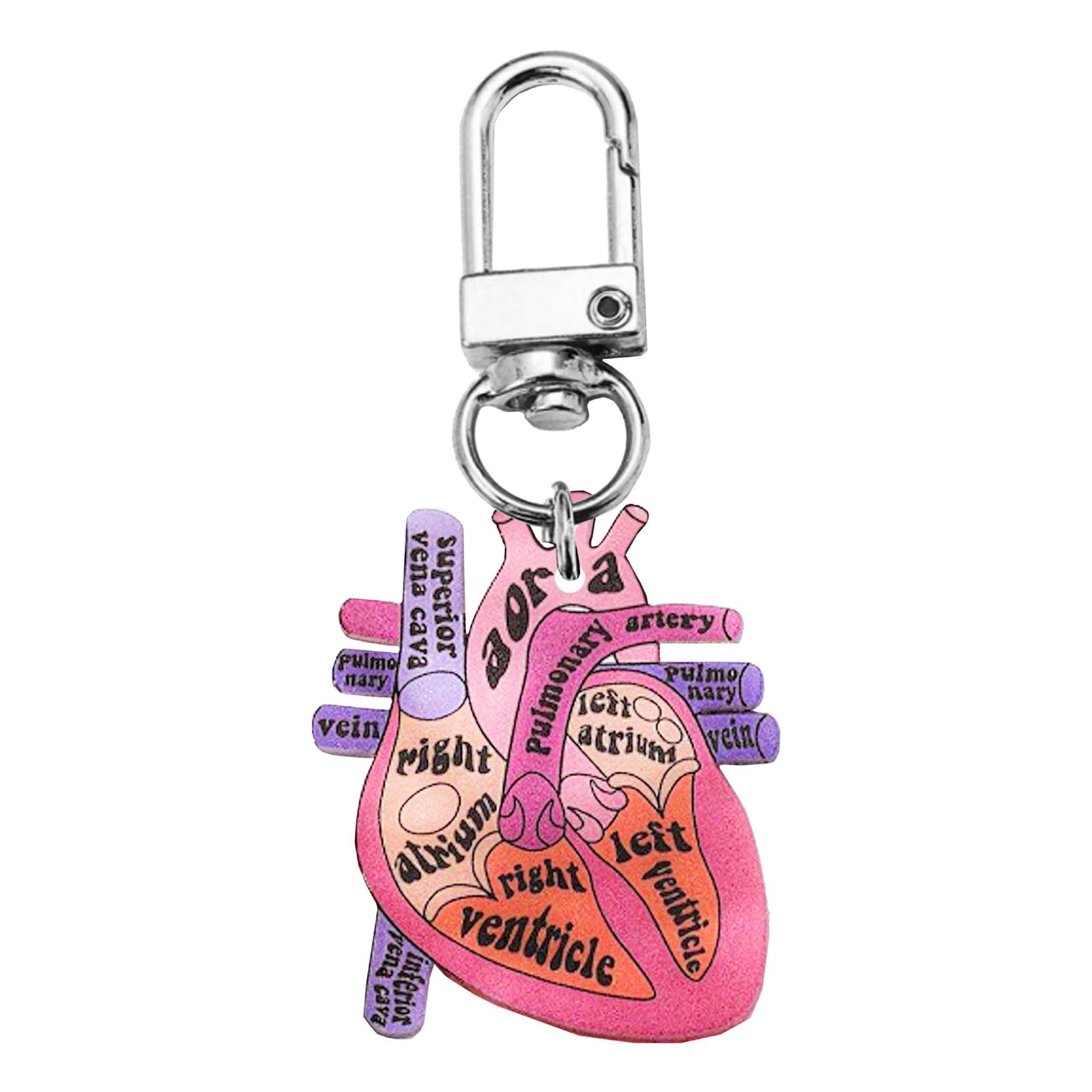 Oxxggkao Heart Anatomy Keychain Ornament Educational Heart Keychain Charm Featuring Human Anatomy For Science Enthusiasts Biology Teacher Gift