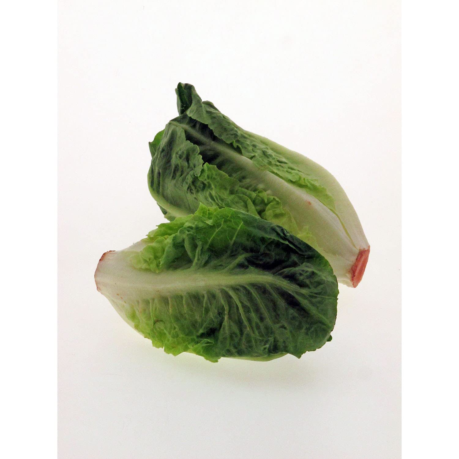 Sałata rzymska 'Little Gem' (Lactuca sativa) 500 nasion Serca sałatowe Sałata rzymska