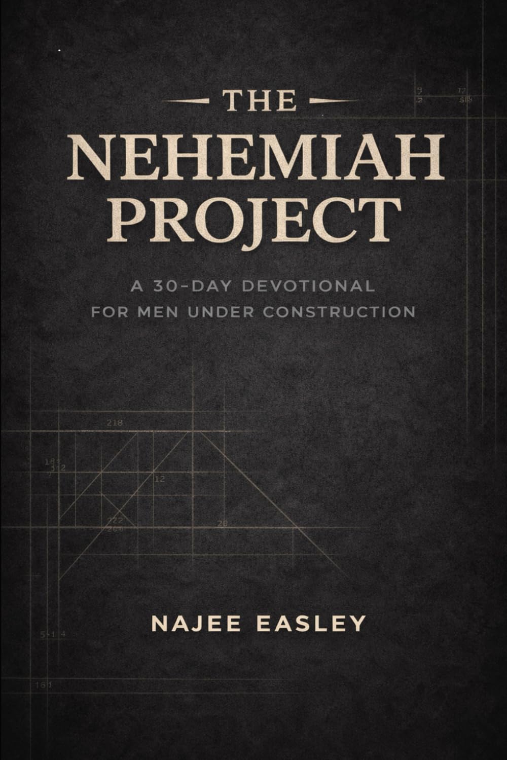 The Nehemiah Project: The Nehemiah Project