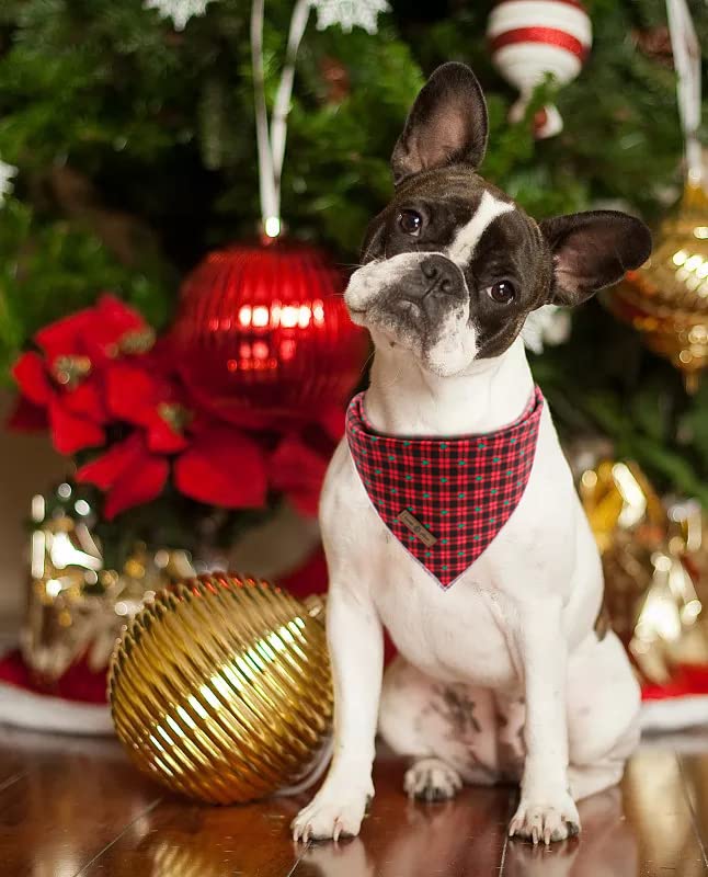 View 5