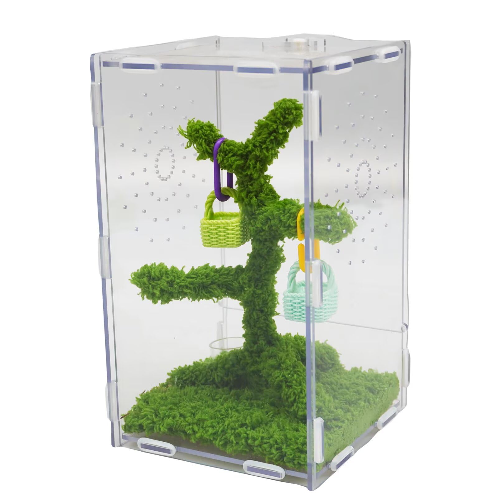 Jinymral Jumping Spider Enclosure with Jumping Spider Accessories – Acrylic Ventilation Terrarium Kit, Includes Feeding Tongs, Natural Decor, Habitat for Pet Spiders, Reptiles & Arboreal Pets