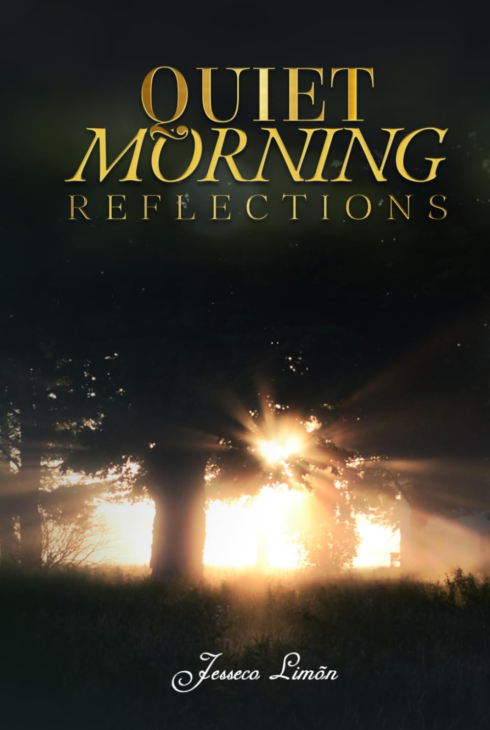 Quiet Morning Reflections