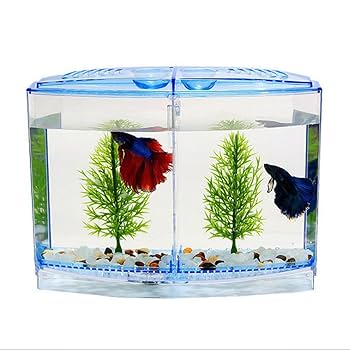 ★ペント様★ 飼育セット　飼育スターターキット 楽天市場】スターターセット（爬虫類・両生類｜ペット・ペット