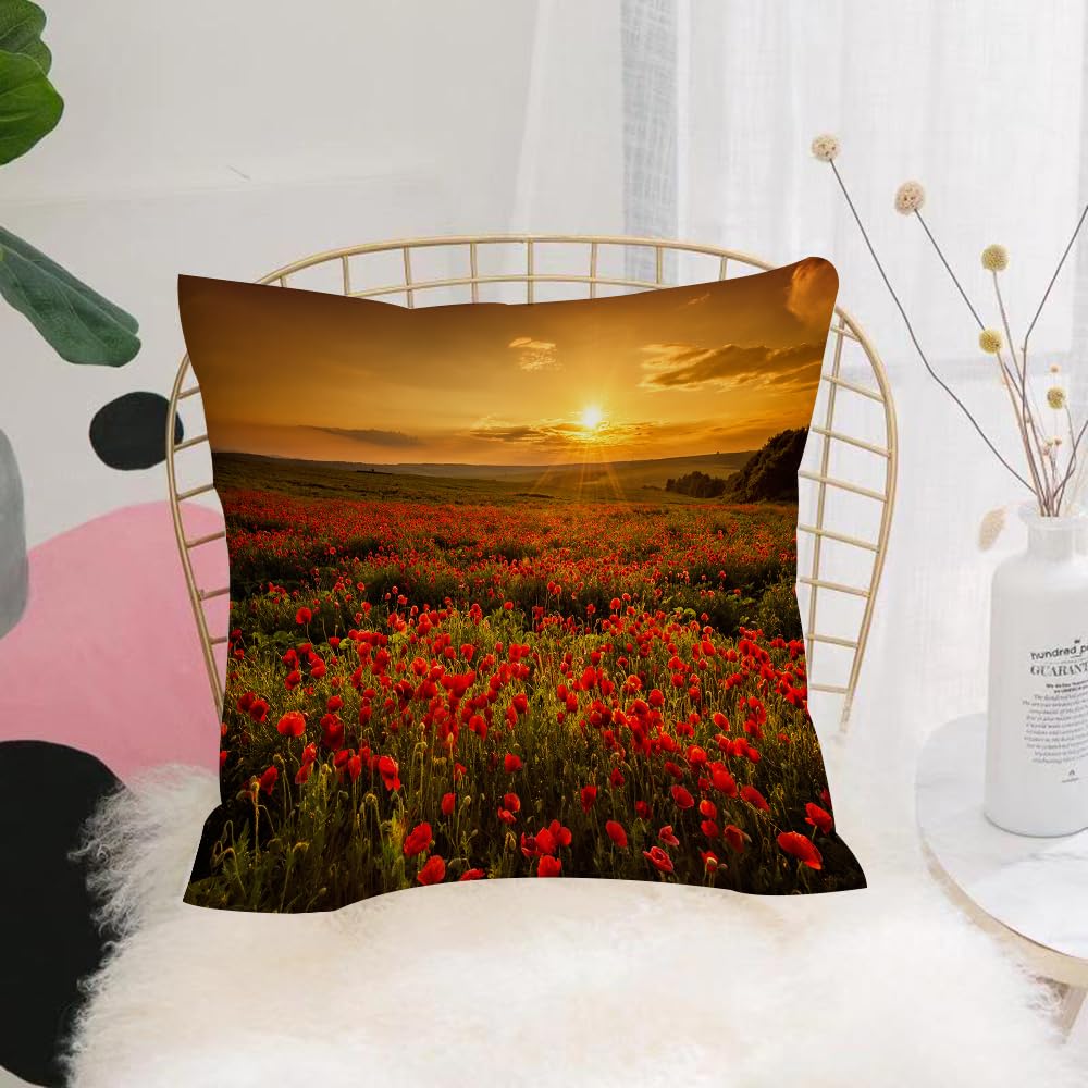 HYOSXW Cushion Cover,Throw Pillow Case Home Decorative for Living Room Bedroom Sofa Chair 16X16 Inch,Poppy field, poppy field at sunset Sunbeam ow Cloudscape Wildflower scene, beig,Pillowcase 40X40cm
