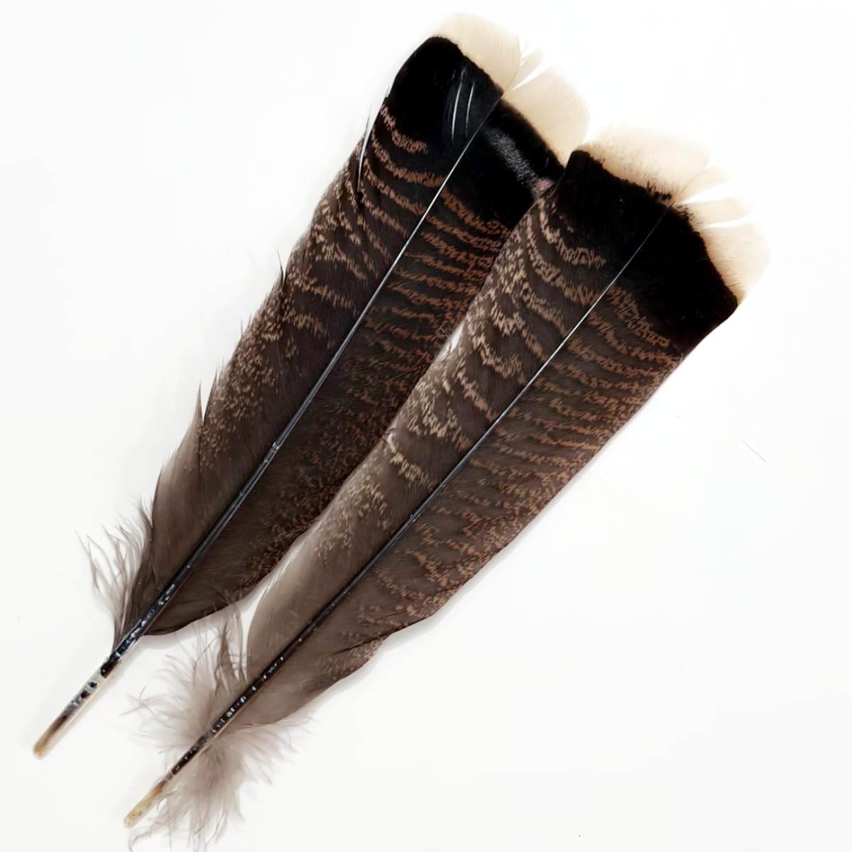 Sponsored Ad - Turkey Feathers,Natural Big Long Feather,11-13 inches (27-33cm),Large Size Bilateral Feathers,for Crafts,Bulk 12pcs (Natural Turkey-1)