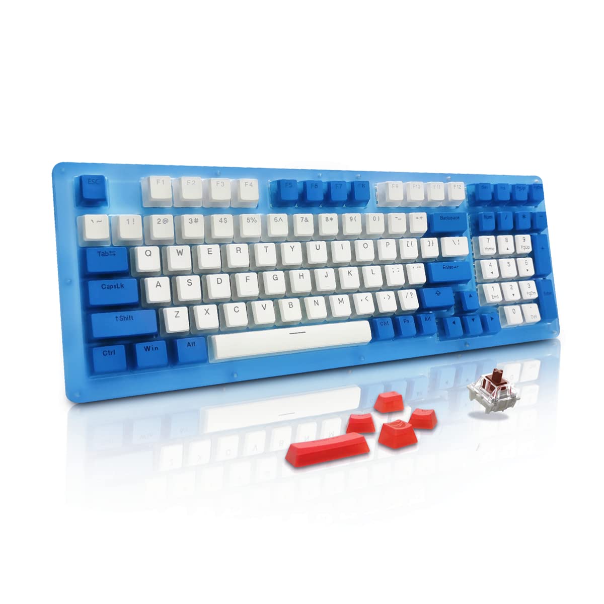 Womier K98 Mechanical Keyboard - 96% Blue Keyboard, Hot Swappable RGB Wired Mechanical Gaming Keyboa