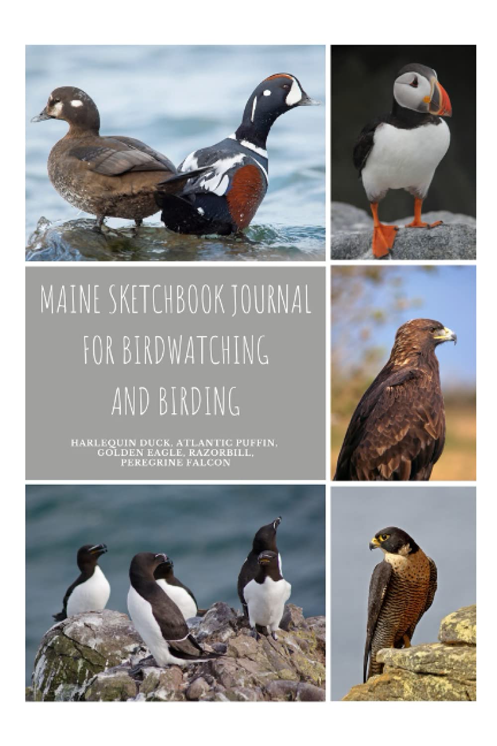 Maine Sketchbook Journal For Birdwatching And Birding, Harlequin Duck, Atlantic Puffin, Golden Eagle, Razorbill, Peregrine Falcon: A Draw And Journal Notebook Birders and Bird Watchers