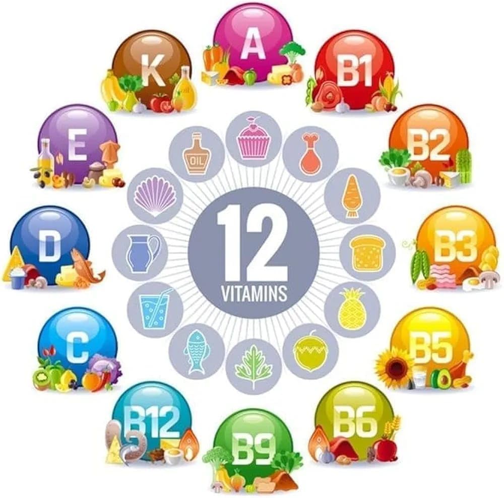 Herbalkor Multivitamin-Plut-based daily nutrition supports supplement-energy, immune and overall well-welfare-60 Herbal Vitamin Mix for Vegetarian capsules-men and women Herbalkor Multivitamin-Plut-based daily nutrition supports supplement-energy, immune and overall well-welfare-60 Herbal Vitamin Mix for Vegetarian capsules-men and women