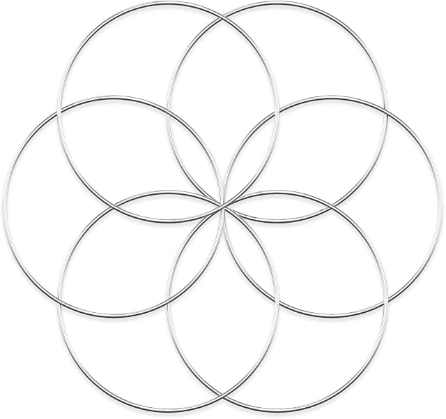 Worown 6pcs 25cm Floral Wreath Hoops, Silver Metal Rings for Making Wedding Wreath Decor and Wall Hanging Craft