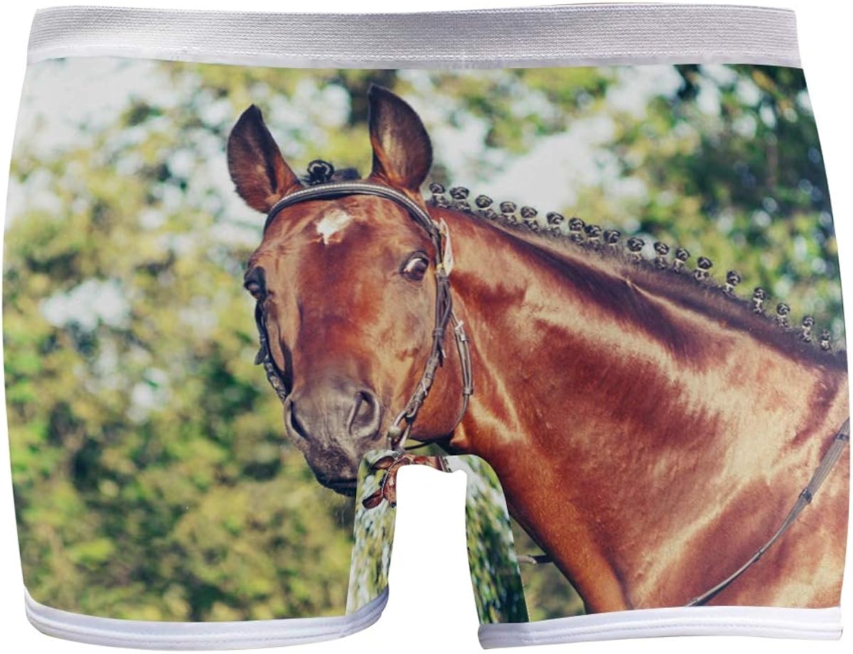 HangWang Womens Hipster Panties Underwear Beautiful Stallion Animal