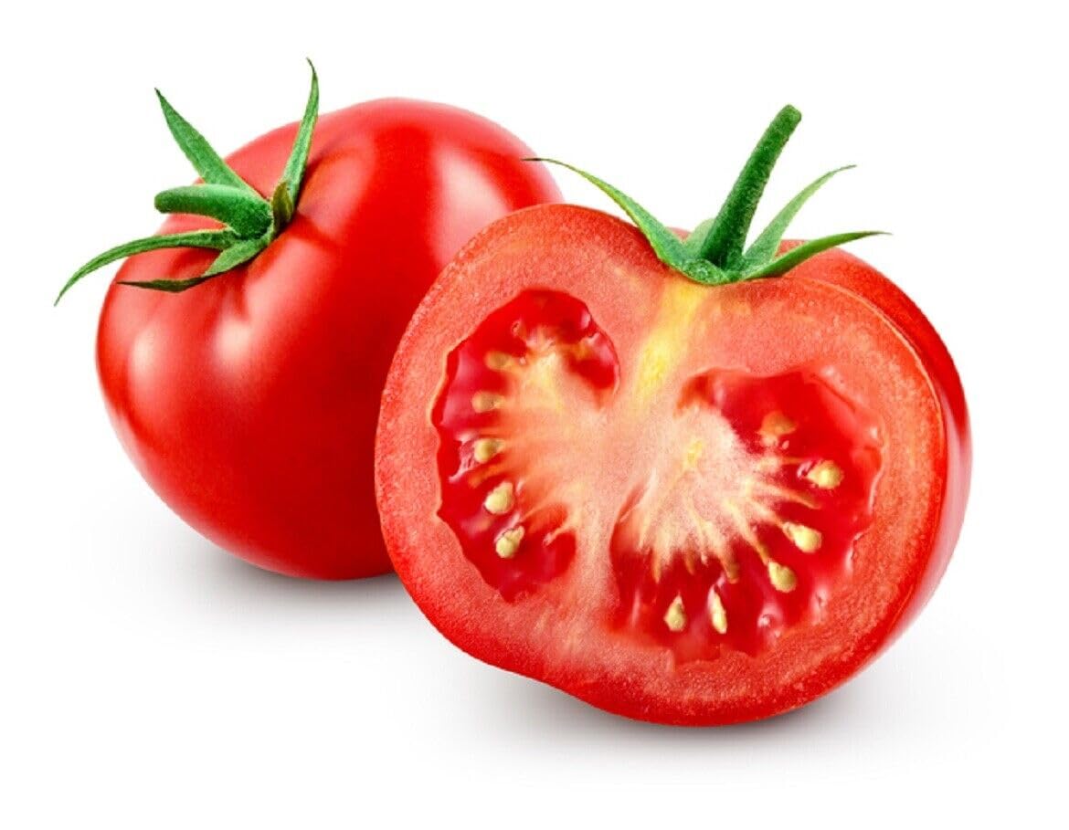 Buy4seeds 40 Seeds Bloody Butcher Tomato Plug Plants Easy for Grow Garden